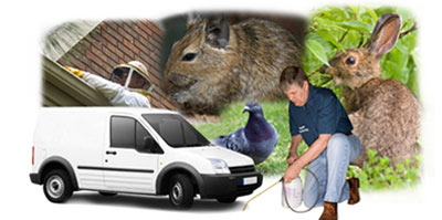 Cleckheaton local van